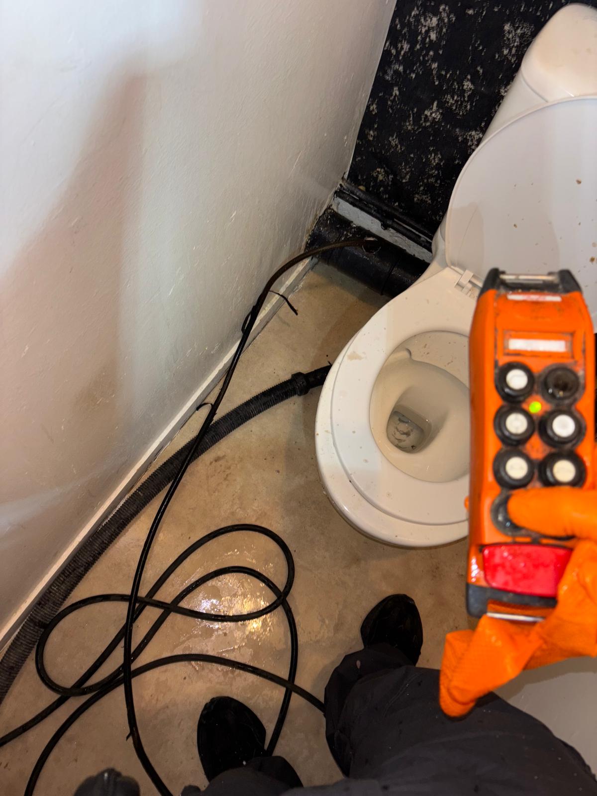 whatsapp image 2025 11 12 at 20.04.35