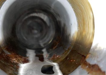 whatsapp image 2025 11 12 at 20.08.10